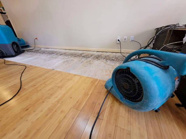 Professional Emergency Water Damage technician working in Riverside, UT